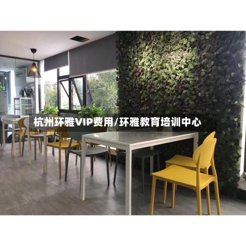 杭州环雅VIP费用/环雅教育培训中心