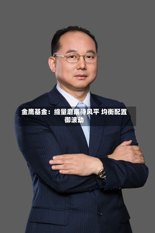 金鹰基金：缩量磨底待风平 均衡配置御波动-第3张图片
