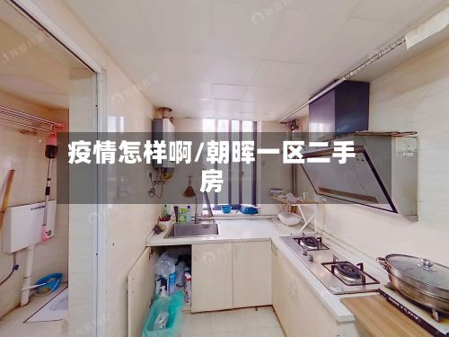 疫情怎样啊/朝晖一区二手房-第3张图片