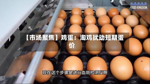 【市场聚焦】鸡蛋:淘鸡扰动短期蛋价-第2张图片