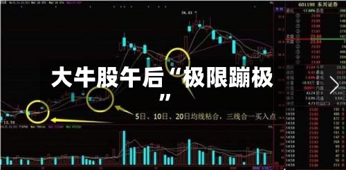 大牛股午后“极限蹦极”-第2张图片