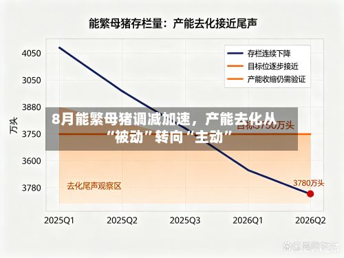 8月能繁母猪调减加速，产能去化从“被动”转向“主动”-第2张图片