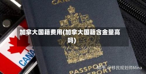 加拿大国籍费用(加拿大国籍含金量高吗)-第2张图片