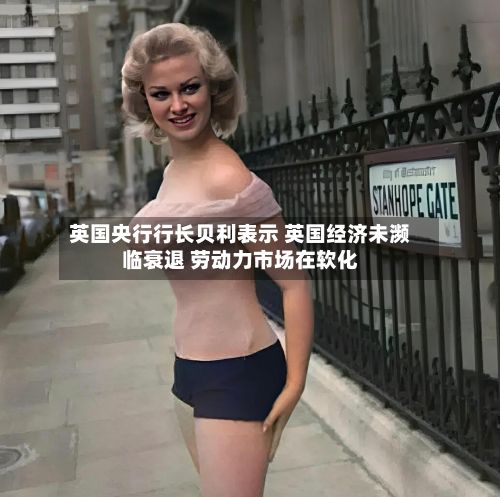 英国央行行长贝利表示 英国经济未濒临衰退 劳动力市场在软化