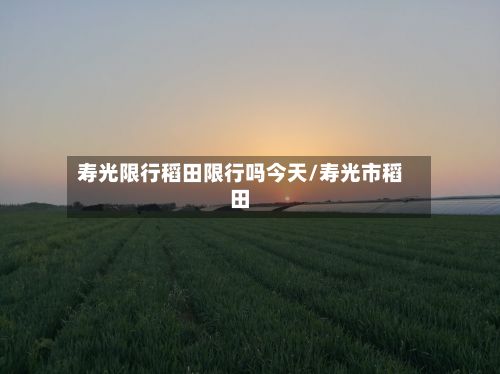 寿光限行稻田限行吗今天/寿光市稻田-第2张图片