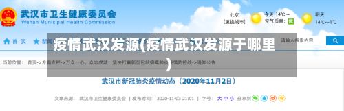 疫情武汉发源(疫情武汉发源于哪里)