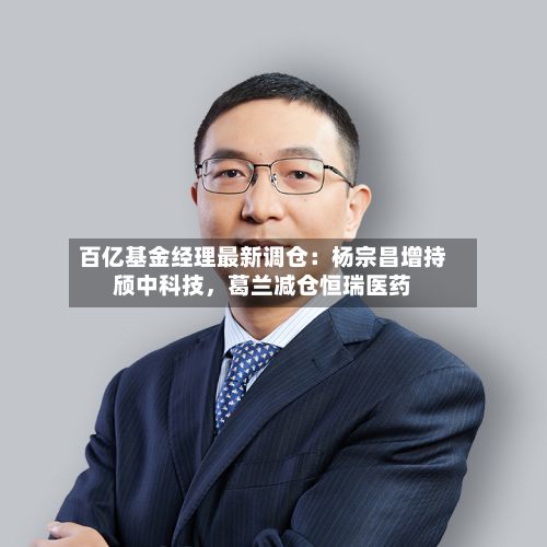 百亿基金经理最新调仓：杨宗昌增持颀中科技，葛兰减仓恒瑞医药-第3张图片