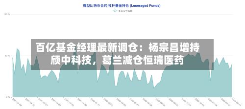 百亿基金经理最新调仓：杨宗昌增持颀中科技，葛兰减仓恒瑞医药-第2张图片