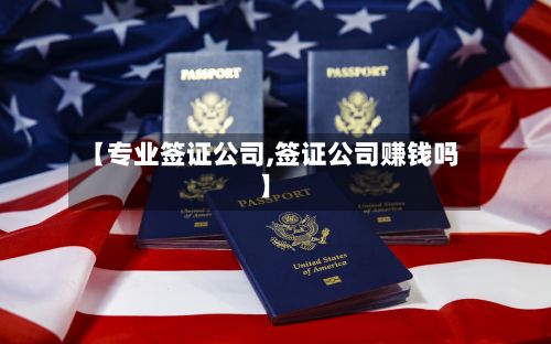 【专业签证公司,签证公司赚钱吗】
