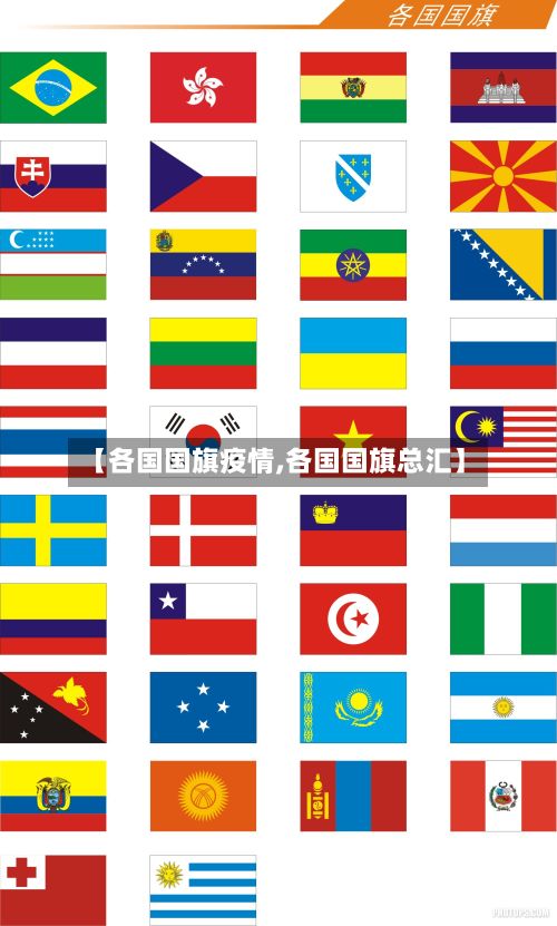 【各国国旗疫情,各国国旗总汇】