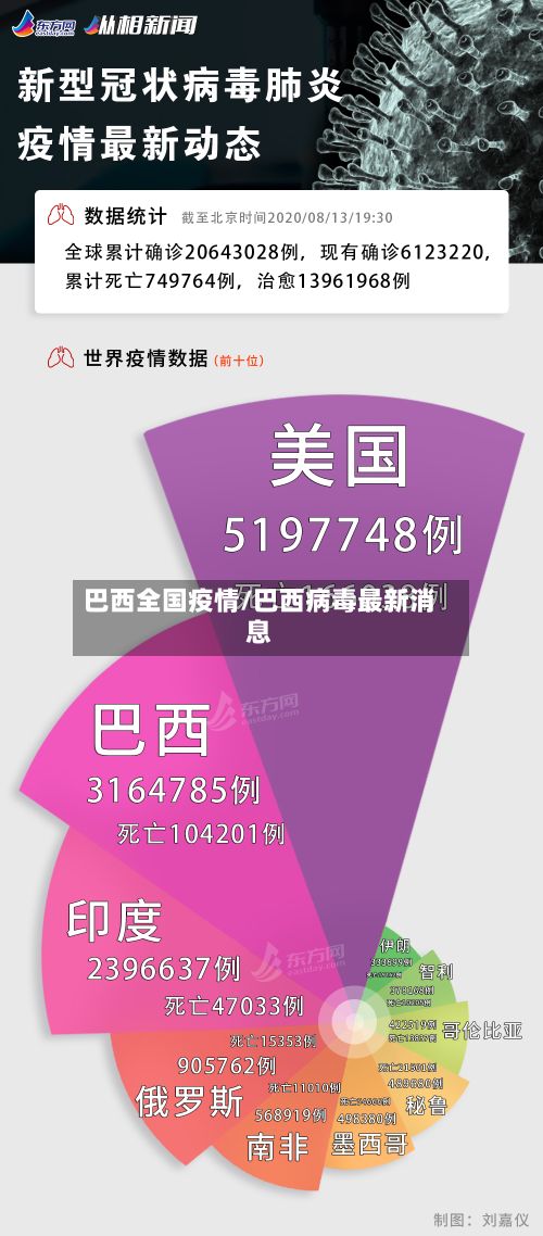 巴西全国疫情/巴西病毒最新消息-第3张图片