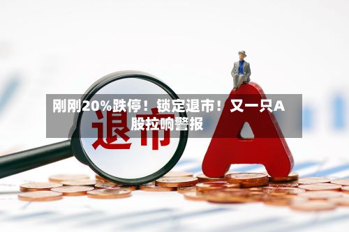 刚刚20%跌停!锁定退市!又一只A股拉响警报-第3张图片