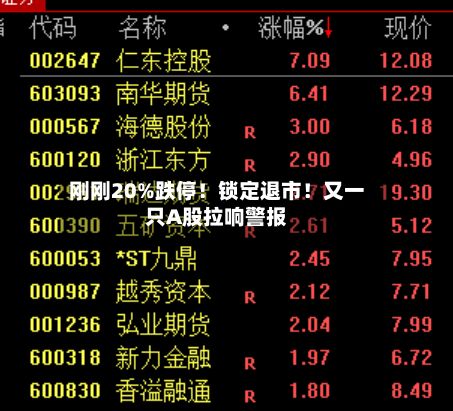 刚刚20%跌停!锁定退市!又一只A股拉响警报-第2张图片