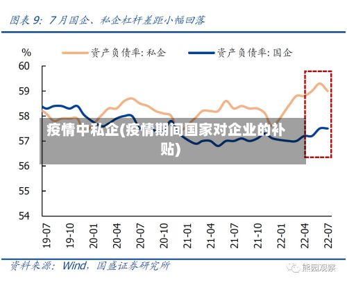 疫情中私企(疫情期间国家对企业的补贴)