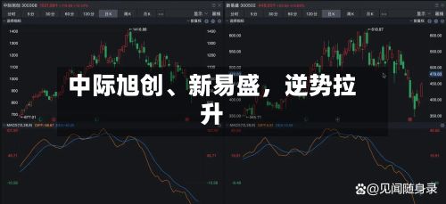 中际旭创、新易盛,逆势拉升