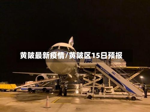 黄陂最新疫情/黄陂区15日预报