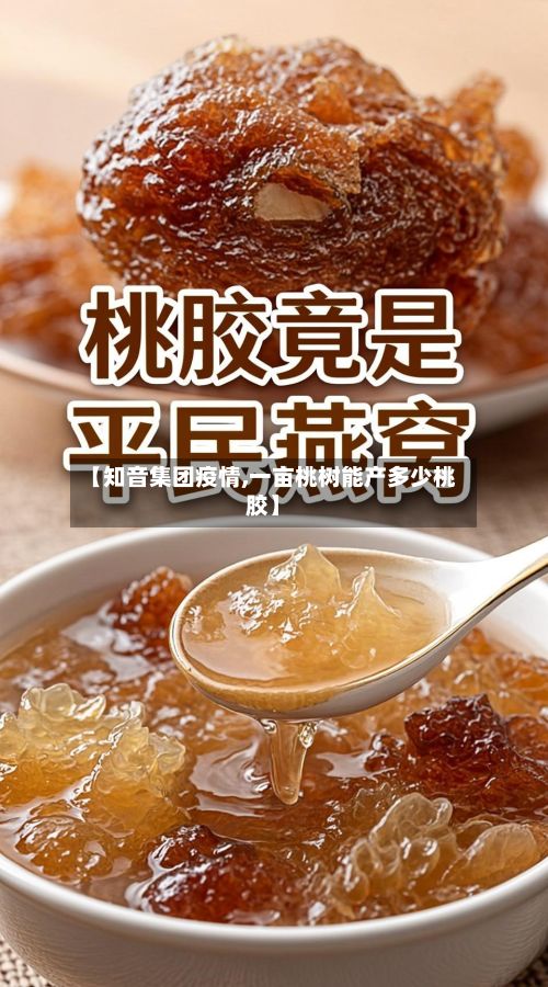 【知音集团疫情,一亩桃树能产多少桃胶】