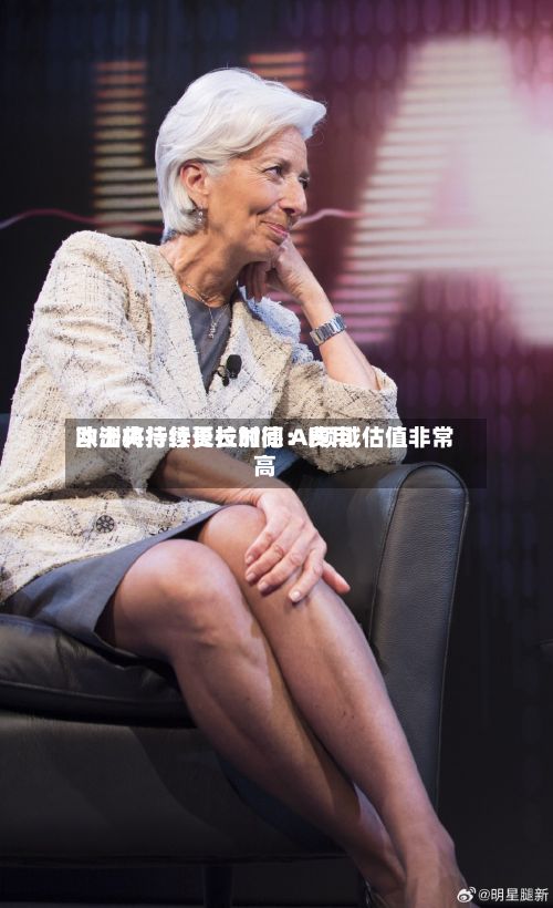 欧洲央行行长拉加德：费用冲击将持续更长时间 AI领域估值非常高