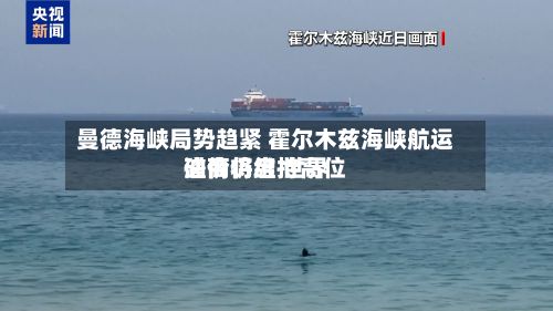 曼德海峡局势趋紧 霍尔木兹海峡航运磋商将启 世界
油价仍维持高位