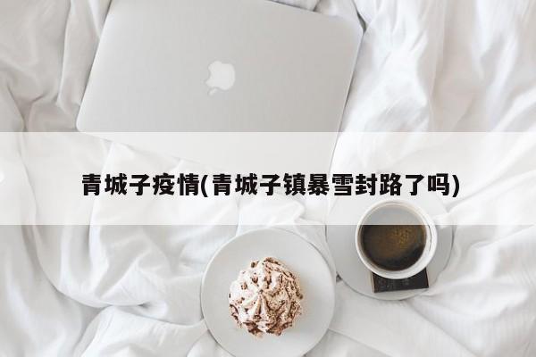 青城子疫情(青城子镇暴雪封路了吗)
