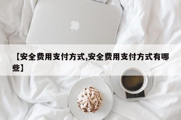 【安全费用支付方式,安全费用支付方式有哪些】