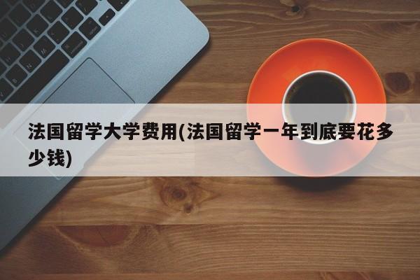 法国留学大学费用(法国留学一年到底要花多少钱)