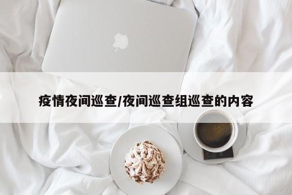 疫情夜间巡查/夜间巡查组巡查的内容