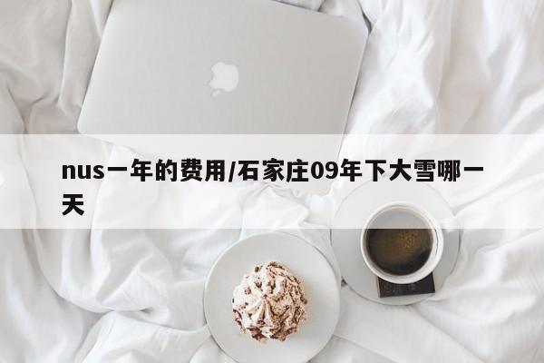 nus一年的费用/石家庄09年下大雪哪一天
