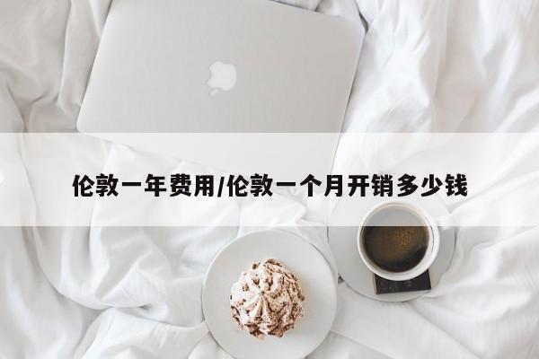 伦敦一年费用/伦敦一个月开销多少钱