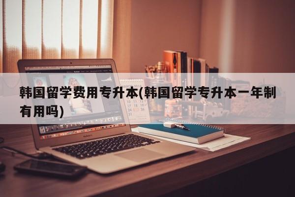 韩国留学费用专升本(韩国留学专升本一年制有用吗)