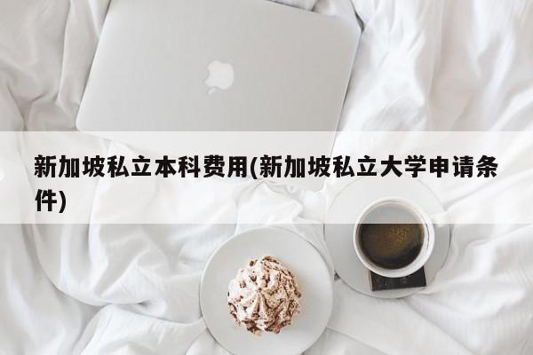 新加坡私立本科费用(新加坡私立大学申请条件)