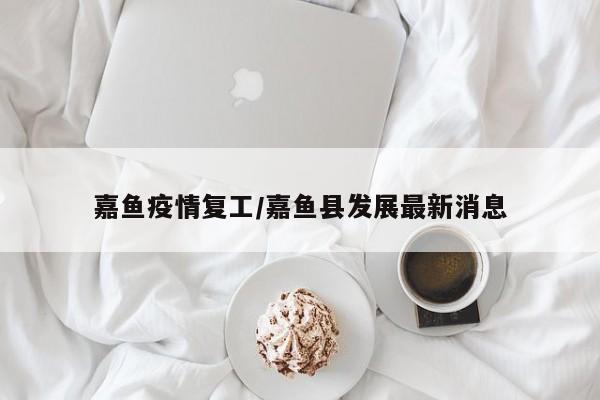 嘉鱼疫情复工/嘉鱼县发展最新消息