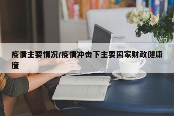 疫情主要情况/疫情冲击下主要国家财政健康度