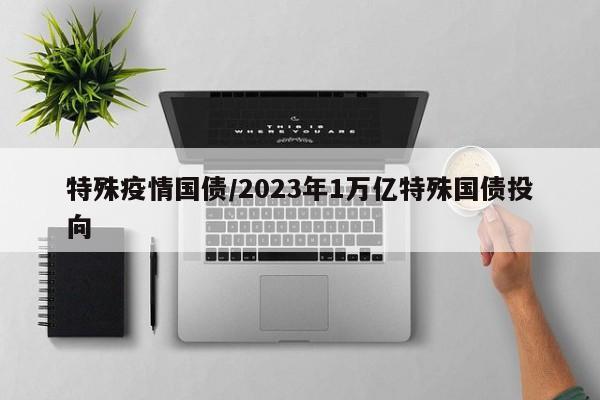 特殊疫情国债/2023年1万亿特殊国债投向