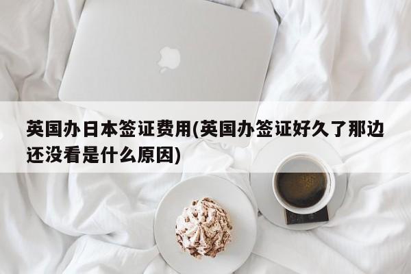 英国办日本签证费用(英国办签证好久了那边还没看是什么原因)