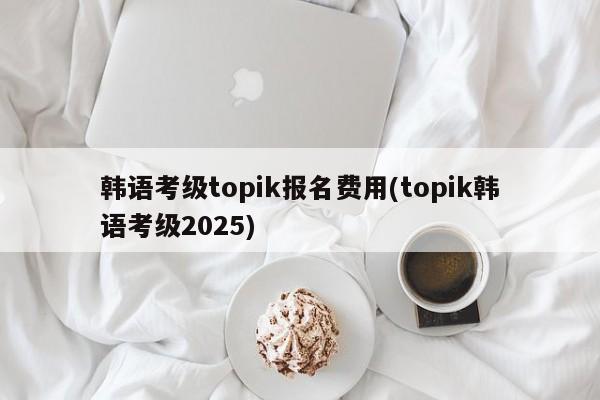 韩语考级topik报名费用(topik韩语考级2025)