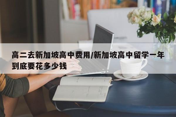 高二去新加坡高中费用/新加坡高中留学一年到底要花多少钱