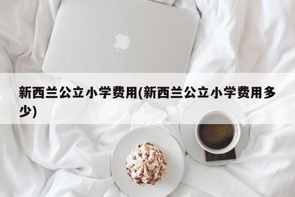 新西兰公立小学费用(新西兰公立小学费用多少)
