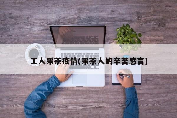 工人采茶疫情(采茶人的辛苦感言)