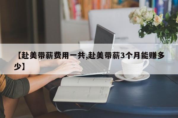 【赴美带薪费用一共,赴美带薪3个月能赚多少】