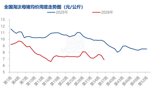 8月能繁母猪调减加速	，产能去化从“被动”转向“主动”