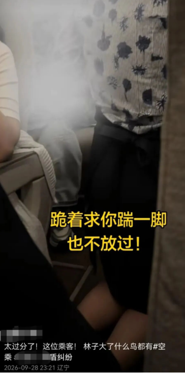“要让肇事者付出代价！”东航就“空姐下跪事件	”报案，六成网友支持“应加大惩戒辱骂者”